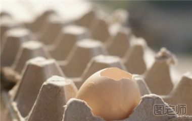 如何制作鸡蛋壳小盆栽 鸡蛋壳小盆栽制作方法