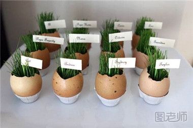 如何制作鸡蛋壳小盆栽 鸡蛋壳小盆栽制作方法