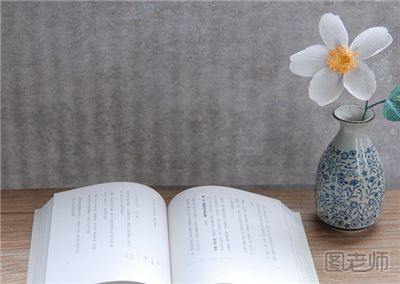 质朴素雅的纸艺蔷薇花 蔷薇花制作方法
