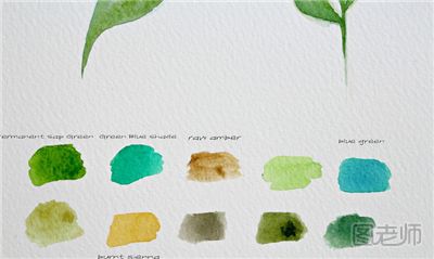 如何绘制清新淡雅的树叶 树叶绘画水彩教程
