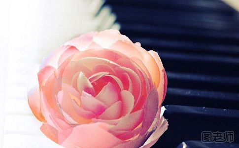 粉红玫瑰花语 粉红玫瑰的花语是什么