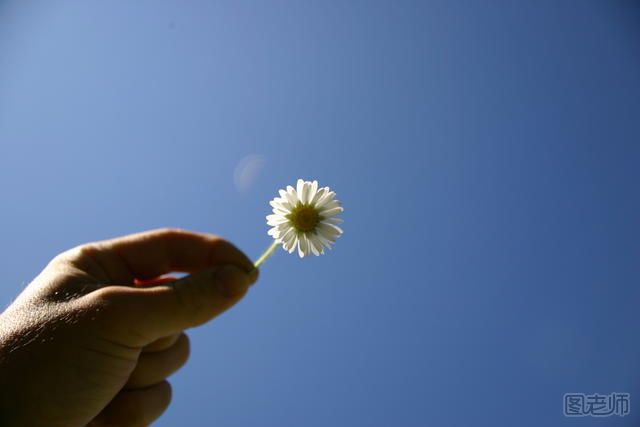 hand-with-flower-happiness-change.jpg