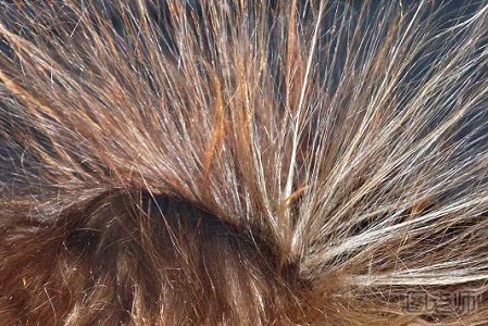 头发静电的危害有哪些 怎么解决头发静电问题