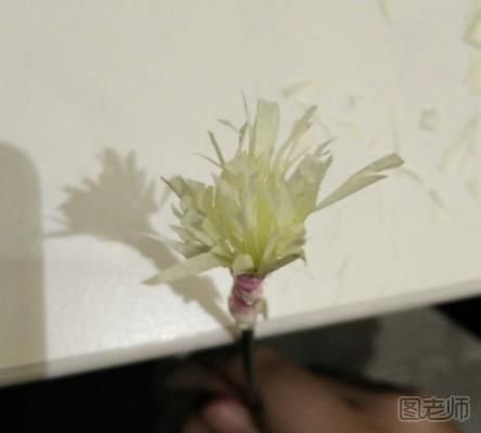 怎么用皱纹纸制作奥斯丁玫瑰花 奥斯汀玫瑰花的制作方法