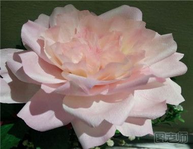 怎么用皱纹纸制作奥斯丁玫瑰花 奥斯汀玫瑰花的制作方法