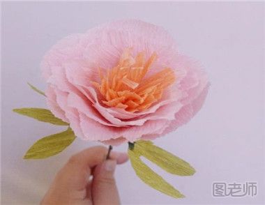 【皱纹纸手工制作】怎么制作皱纹纸牡丹花