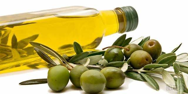 橄榄油加芦荟有哪些作用