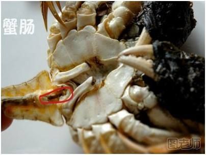 大闸蟹的正确吃法是什么？