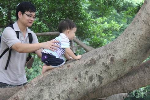 孩子爬树会激发潜能吗？