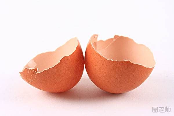 鸡蛋壳有哪些作用
