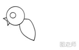 【简笔画】怎么画小鸟简笔画