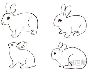 兔子简笔画图示