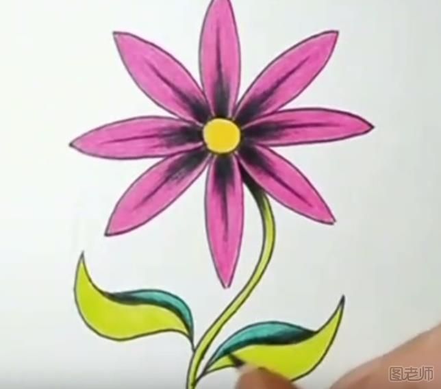 怎么画一朵好看的花