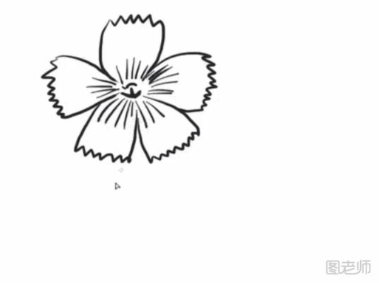 如何制作一幅美丽的花朵简笔画