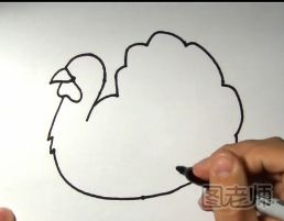 火鸡的简笔画教程
