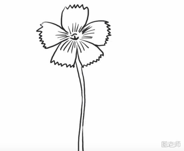 如何制作一幅美丽的花朵简笔画