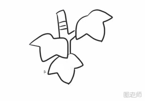 如何制作一幅美丽的枫树简笔画