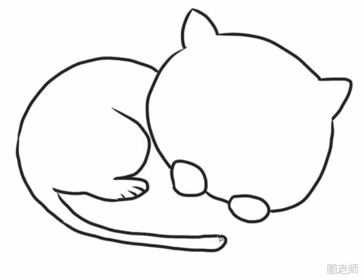 睡觉的小花猫简笔画怎么制作