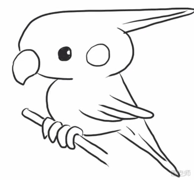 鹦鹉简笔画如何制作