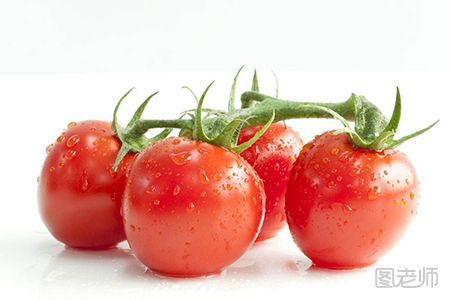 西红柿4.jpg