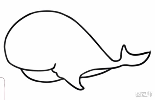 鲸鱼简笔画步骤教程
