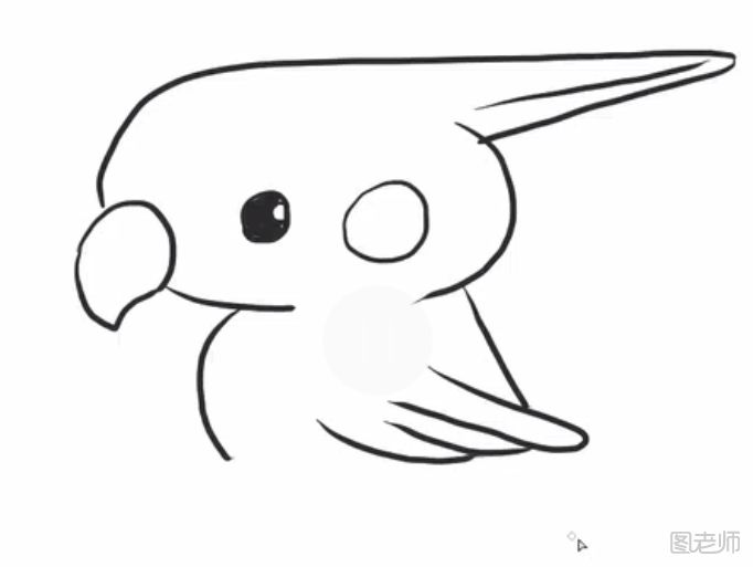 鹦鹉简笔画如何制作