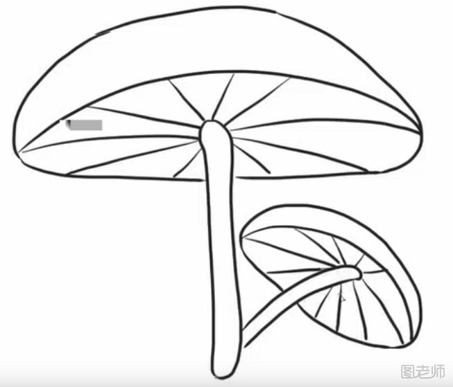 蘑菇简笔画怎么画     蘑菇简笔画教程