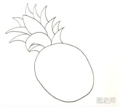 菠萝简笔画步骤教程
