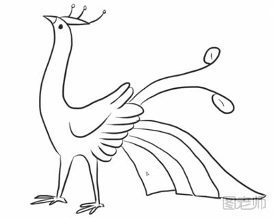 【图】简单的孔雀怎么画,简单的孔雀简笔画教