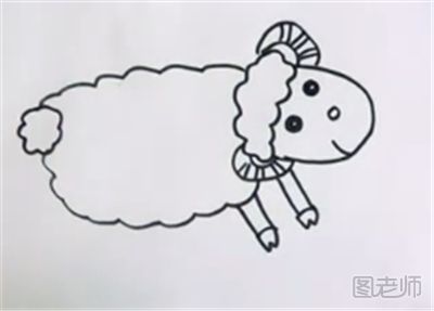 可爱小绵羊的简笔画教程