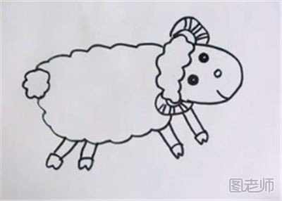 可爱小绵羊的简笔画教程