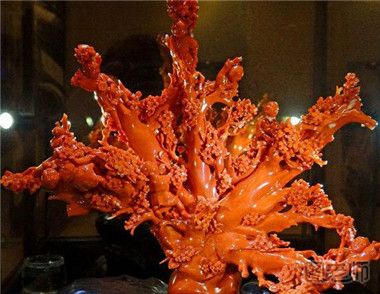 佩戴红珊瑚饰品要注意什么