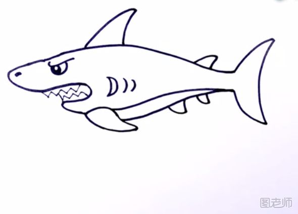 鲨鱼简笔画图解步骤