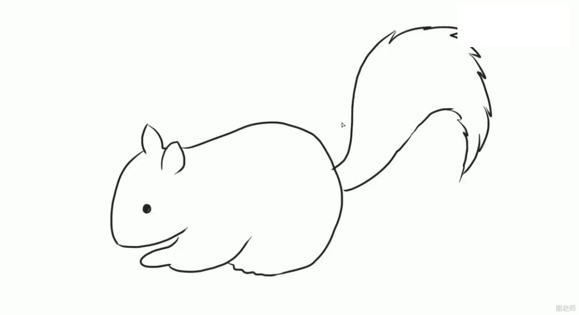 可爱的小松鼠简笔画如何制作