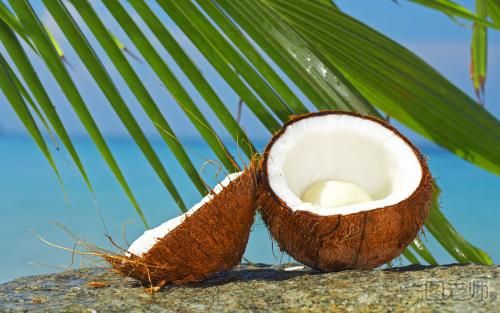 椰子汁有哪些功效和作用  椰子汁的营养价值有哪些