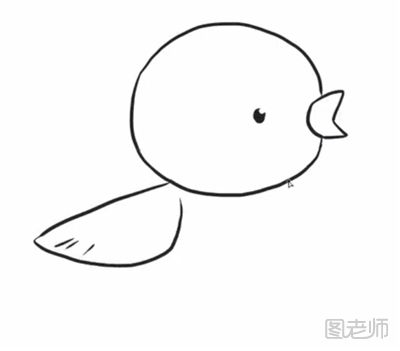 黄鹂鸟简笔画教程    怎样画黄鹂鸟简笔画4.png