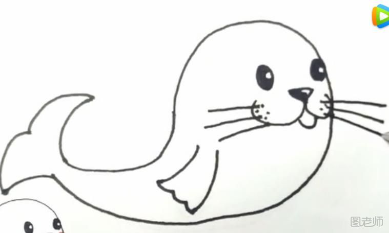 首先我们要画出小海豹的基本体形，有点像一个小逗号  然后画出小海豹的尾巴就像画美人鱼的尾巴一样  画出小海豹的受，也就是海豹的鳍，就像图片中一样  画出海豹的鼻子，三角形下面两个小弯弯就可以了  画出小海豹可爱的眼睛，小海豹的眼睛圆圆的  然后我们要画出小海豹的胡须不要忘了还有一点小点点  最后我们要给小海豹的尾巴和鳍上画出一些褶皱，我们的一只可爱的小海豹就画好了，是不是很可爱呢?