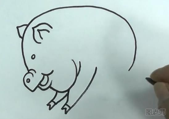 首先我们画出一个半圆，这个就是小猪的身体了  然后画出小猪的鼻子和嘴巴，这里稍微有一点复杂，先画出小猪的鼻子然后小猪的嘴巴就是两个半圆，然后小猪的下巴是很大的  画出小猪的眼睛  然后画出小猪的两个耳朵，都是很可爱的  然后画出小猪的两只前腿，小猪的腿脚上面有两个尖尖  画出小猪的后腿脚和尾巴  最后要做的就是给小猪涂上好看的颜色就可以了，是不是很简单呢?