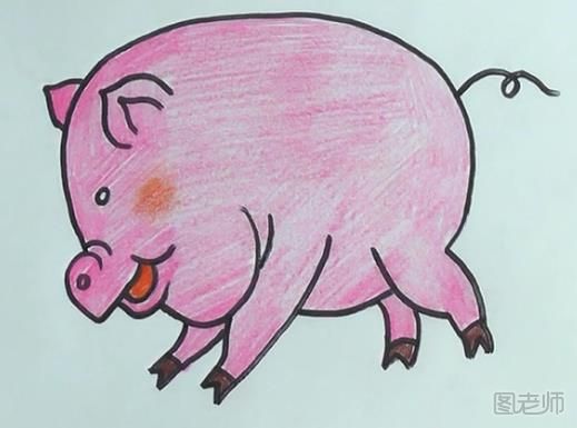 首先我们画出一个半圆，这个就是小猪的身体了  然后画出小猪的鼻子和嘴巴，这里稍微有一点复杂，先画出小猪的鼻子然后小猪的嘴巴就是两个半圆，然后小猪的下巴是很大的  画出小猪的眼睛  然后画出小猪的两个耳朵，都是很可爱的  然后画出小猪的两只前腿，小猪的腿脚上面有两个尖尖  画出小猪的后腿脚和尾巴  最后要做的就是给小猪涂上好看的颜色就可以了，是不是很简单呢?