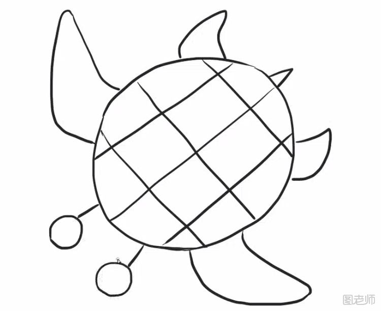 海龟的简笔画教程