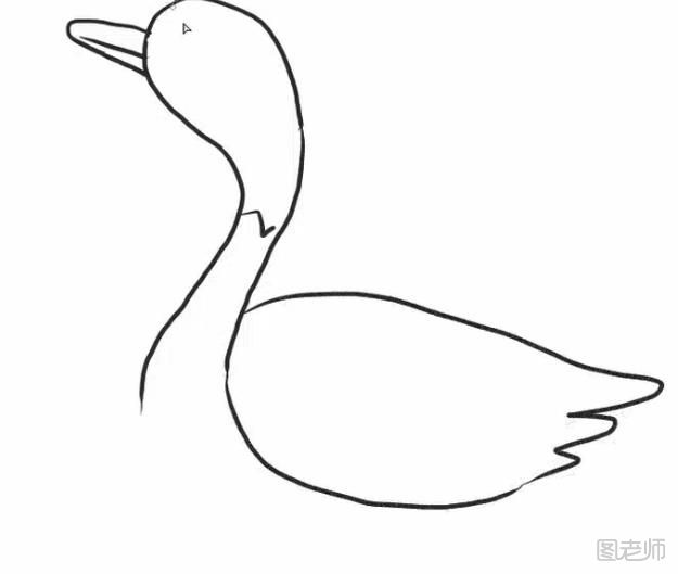 怎么画一只可爱的大鹅
