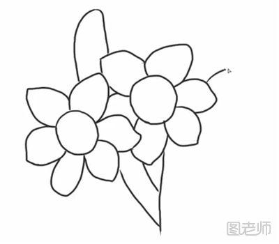 如何画一朵水仙花