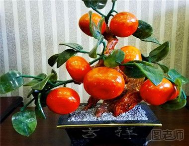 盆栽金橘能吃吗