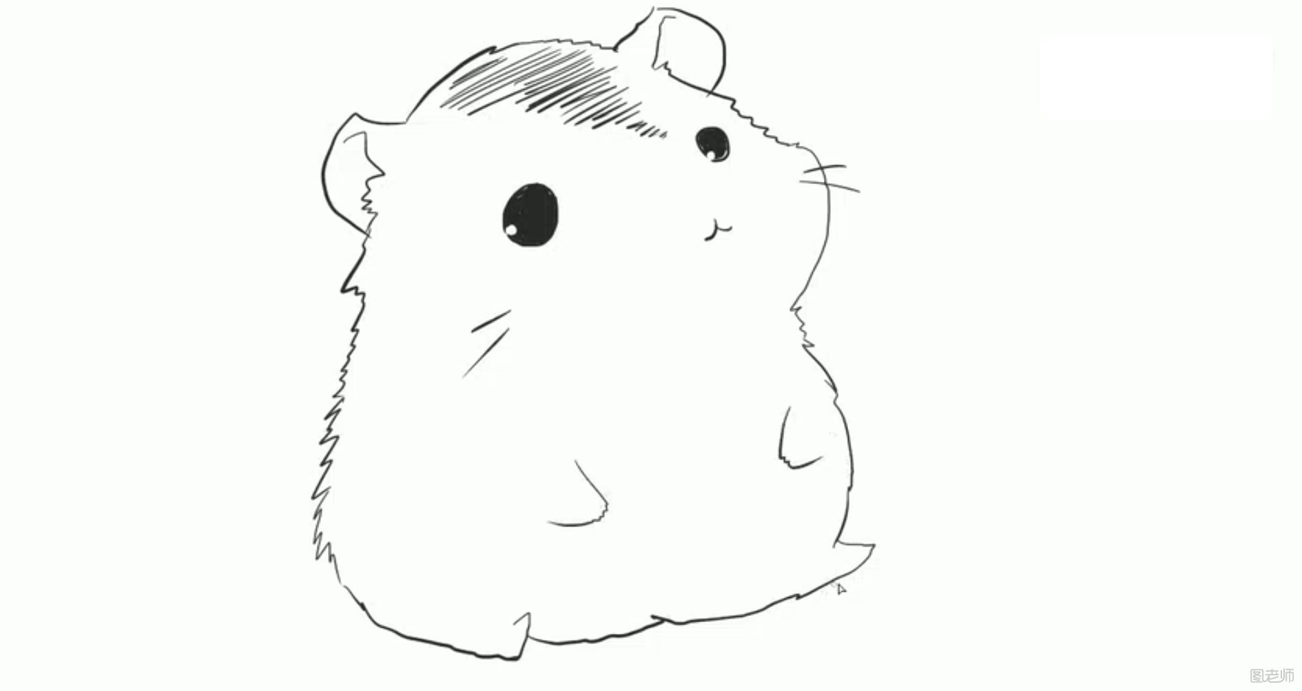 可爱的小仓鼠简笔画如何制作