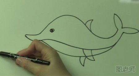 可爱的小海豚简笔画教程