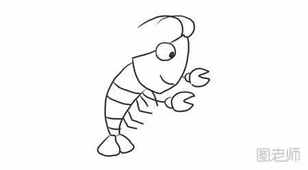 【图】小龙虾怎么画,小龙虾简笔画教程