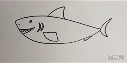 鲨鱼的简笔画教程