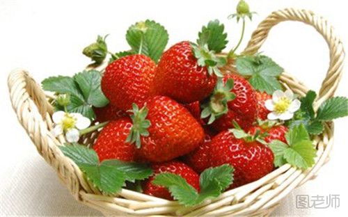 草莓有哪些营养成分