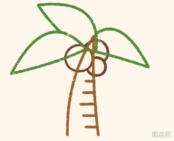 椰子树简笔画教程 椰子树简笔画怎么画好看