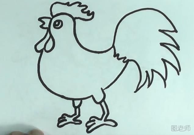 怎么画一只大公鸡 大公鸡简笔画图解教程